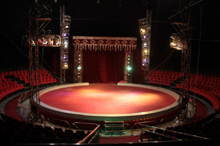 Novela ambientada en en un circo